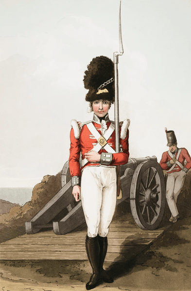 19th century in Yorkshire(19世紀のヨークシャー)