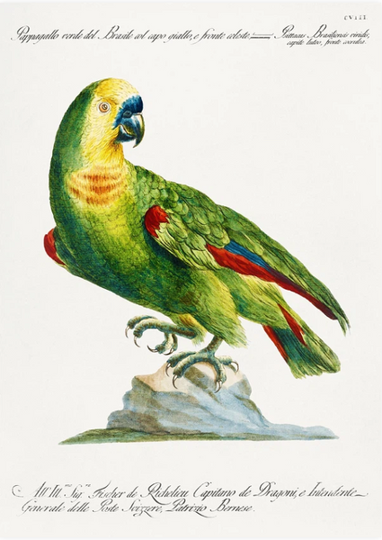 Saverio Manetti