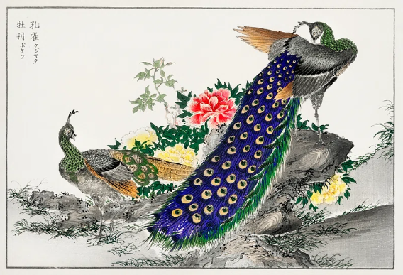 Pictorial Monograph of Birds