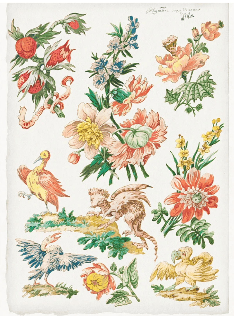 Giacomo Cavenezia(ジャコモ カヴェネチア)