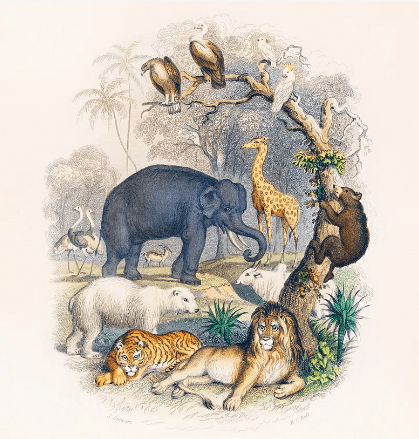 ゴールドスミスの生き生きとした自然のアートポスター・アートキャンバス