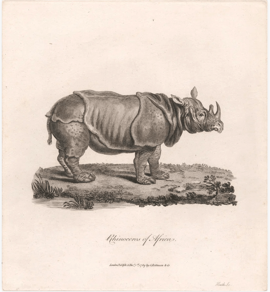 ヒースのアートポスター・アートキャンバス