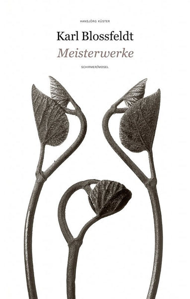 Karl Blossfeldt(カール ブロスフェルト)