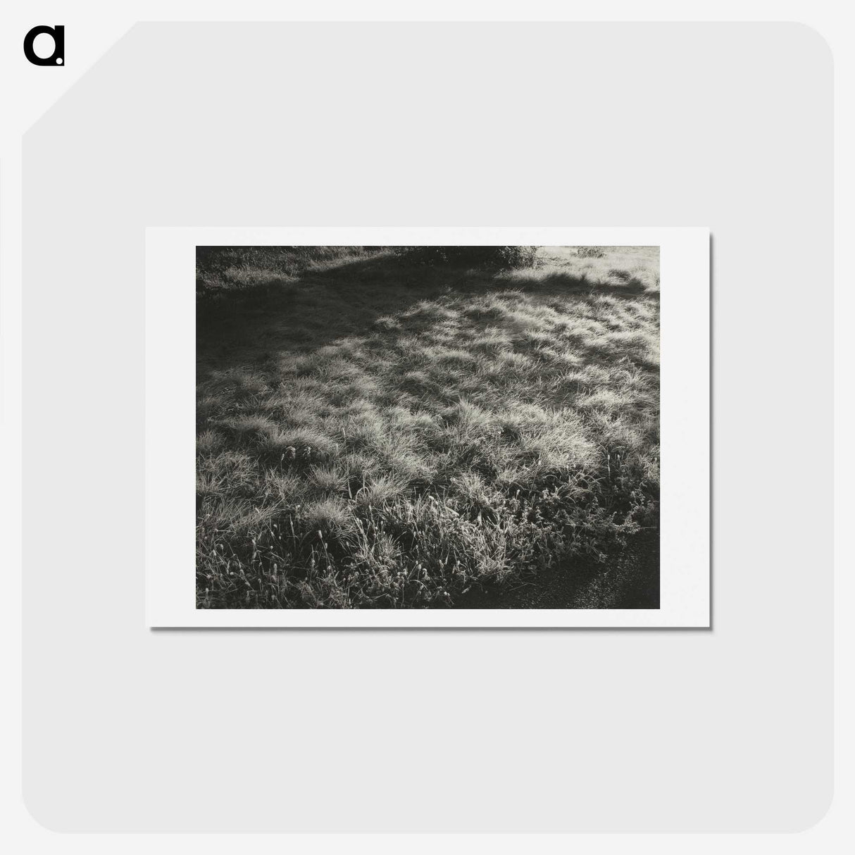 1-100_Alfred-Stieglitz_hagaki