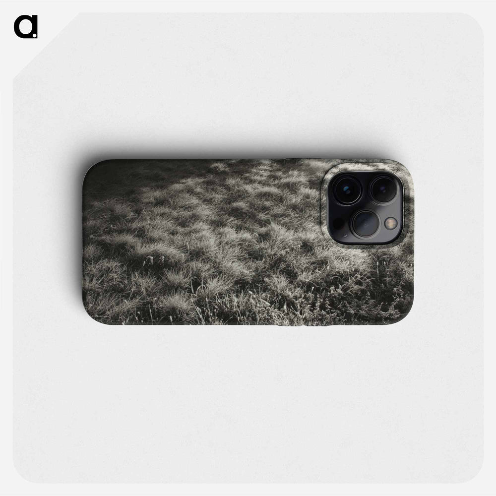 Grass and Frost - アルフレッド スティーグリッツ Phone Case.