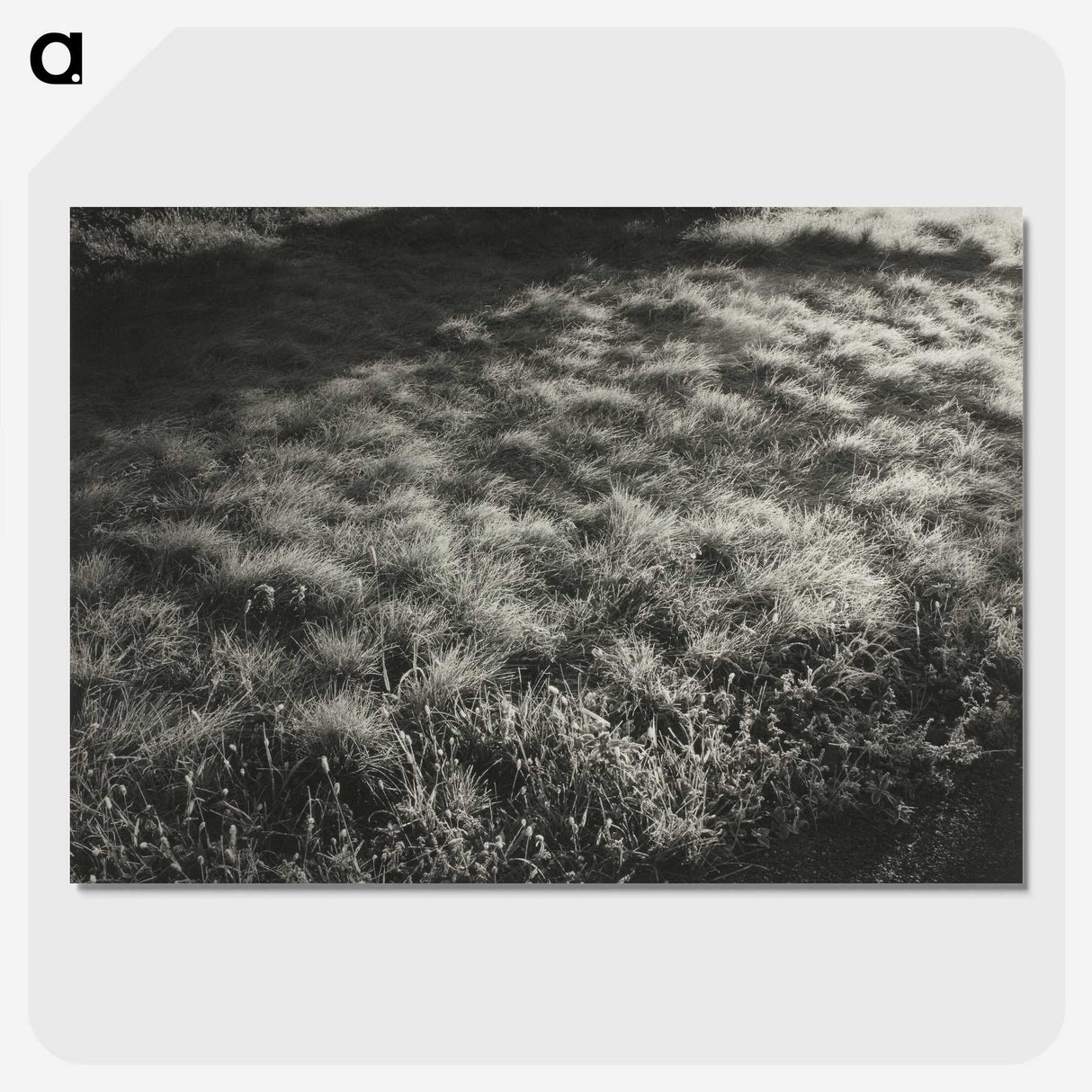 1-100_Alfred-Stieglitz_picture-crop