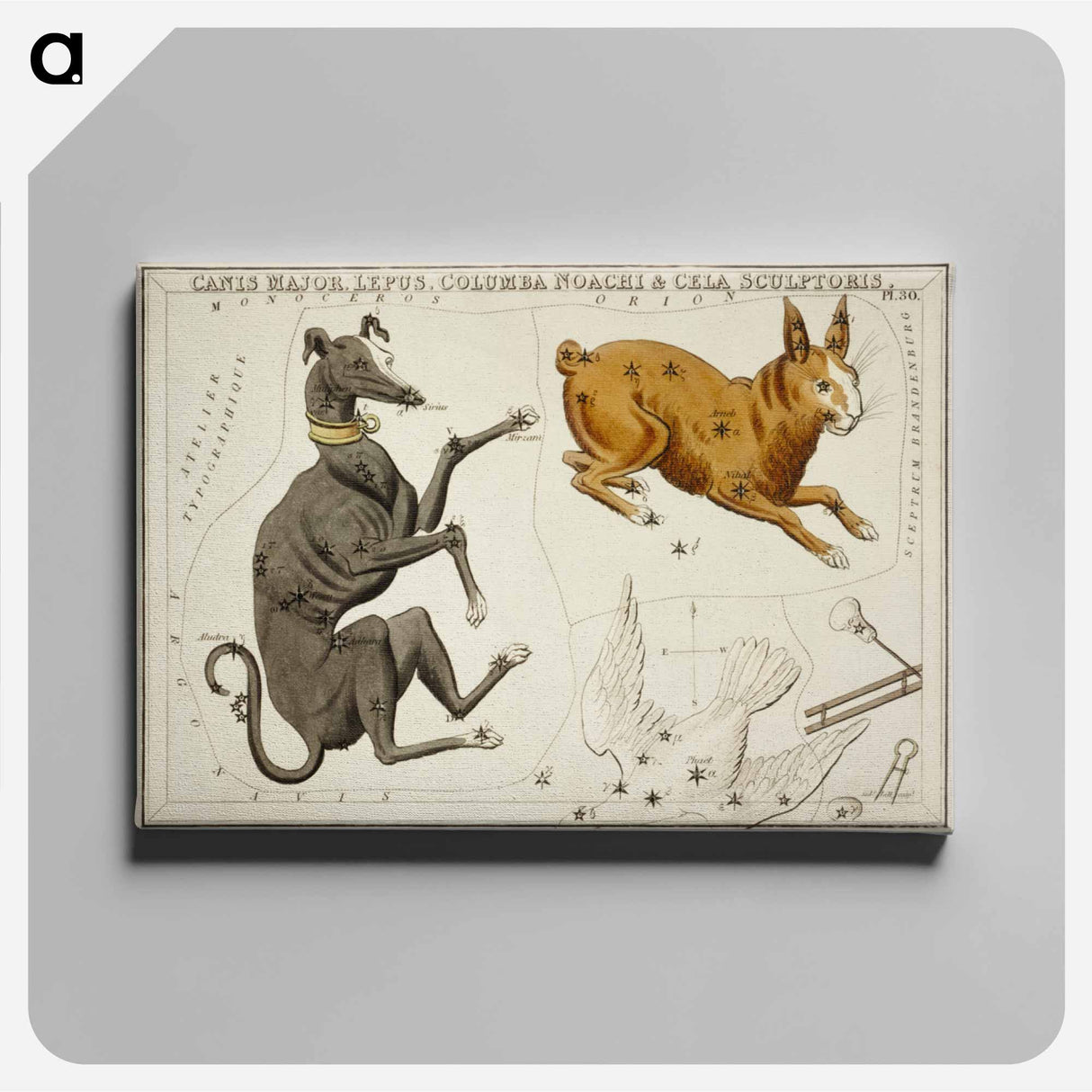 Sidney Hall’s astronomical chart illustration of the Canis Major, Lepus, Columba Noachi and the Cela Sculptoris - アンティーク地図 Canvas.