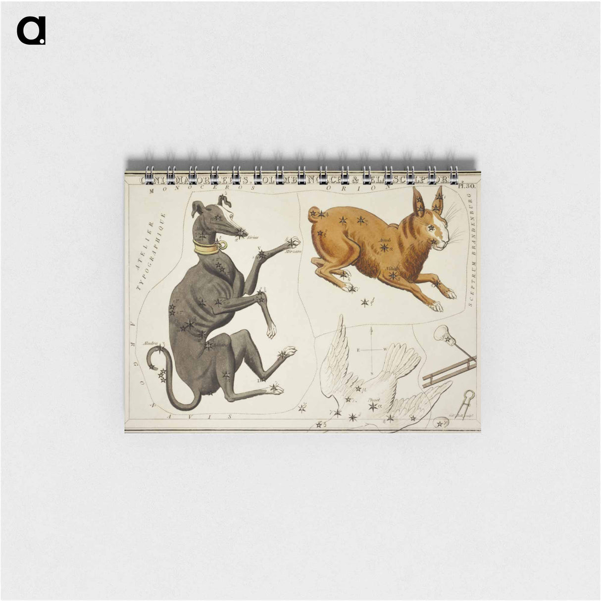 Sidney Hall’s astronomical chart illustration of the Canis Major, Lepus, Columba Noachi and the Cela Sculptoris - アンティーク地図 Memo.