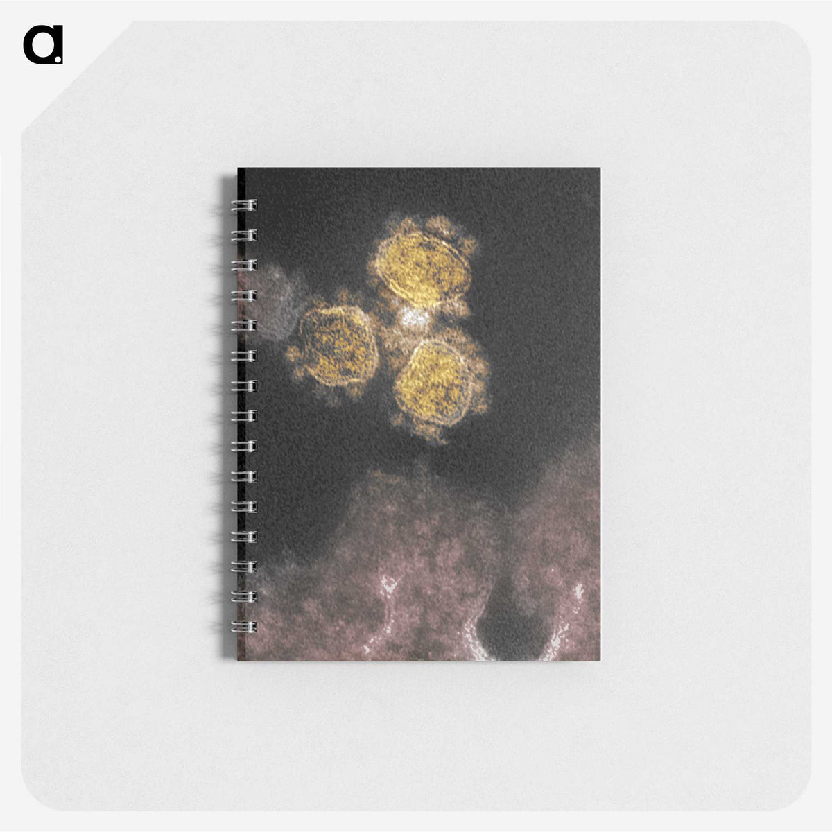 1-100_COVID-19_memo