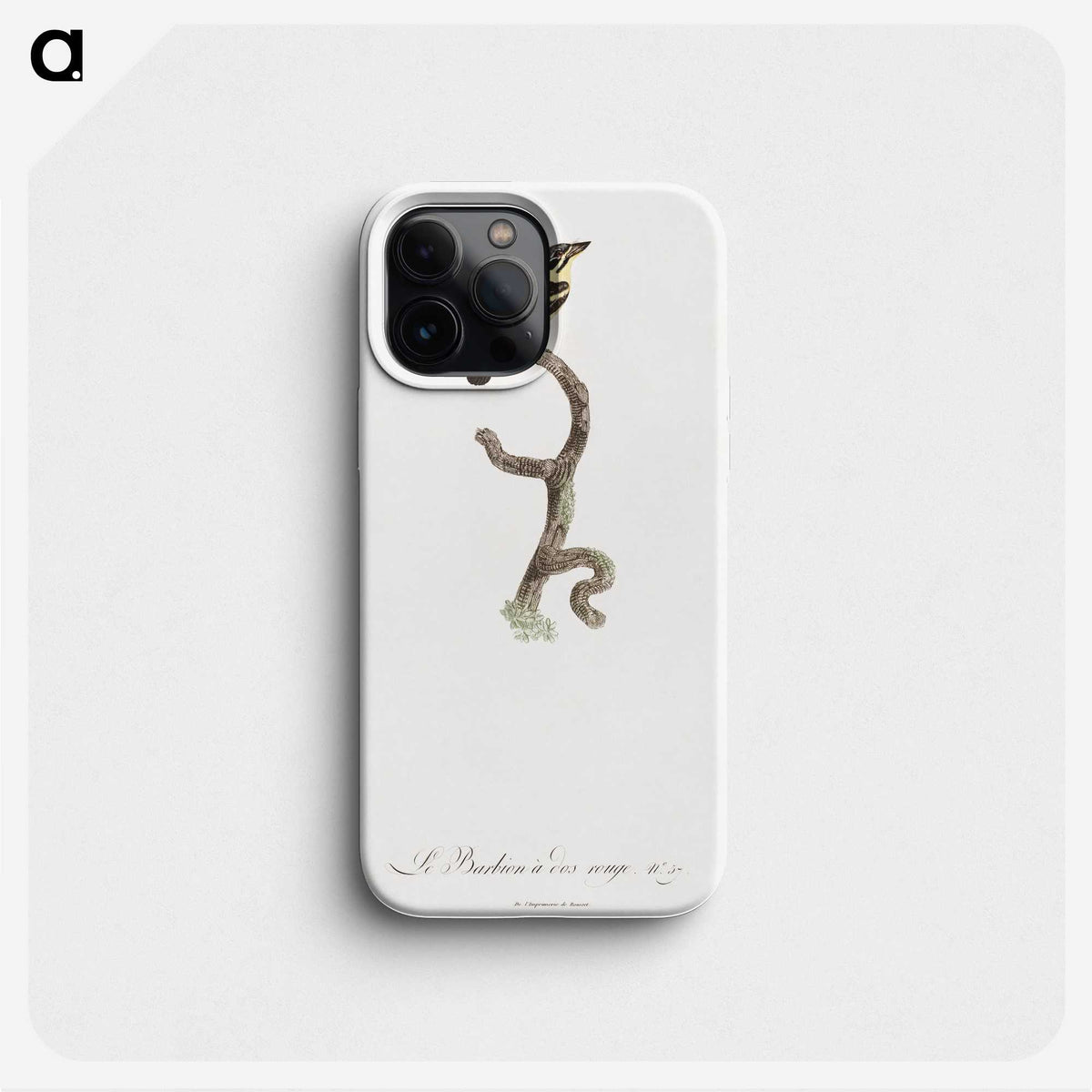 1-100_Des-Oiseaux-de-Paradis_phone