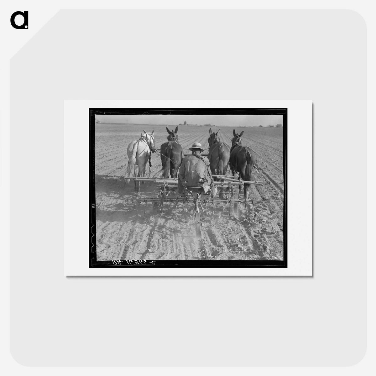 1-100_Dorothea-Lange_hagaki