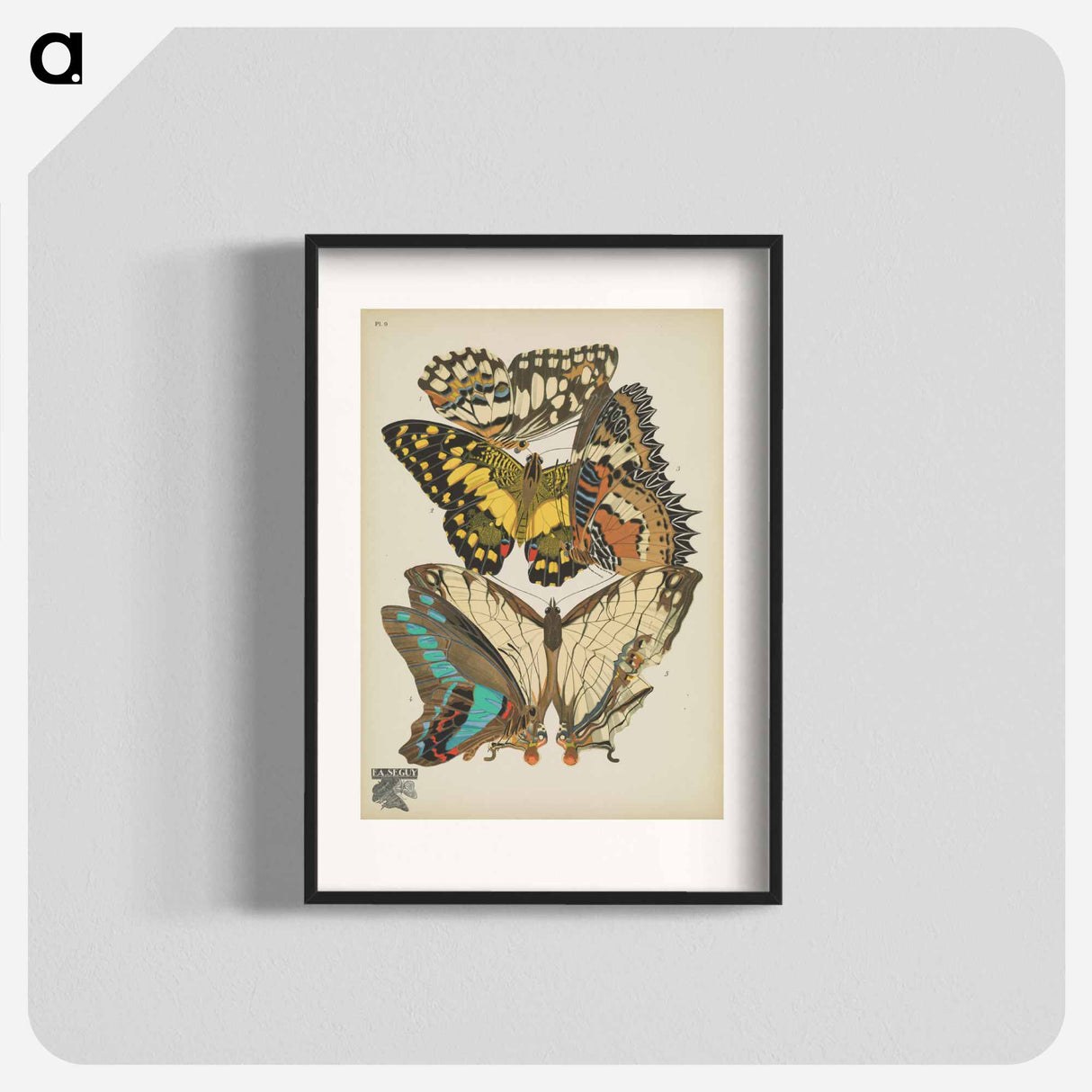 E.A. Séguy's vintage butterflies insect illustration - E.A.セギー Poster.
