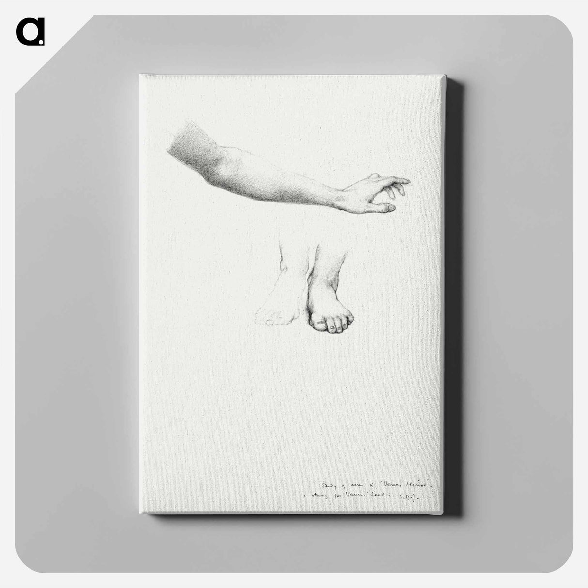 Arm and Feet, study for Mirror of Venus - エドワード バーン ジョーンズ Canvas.