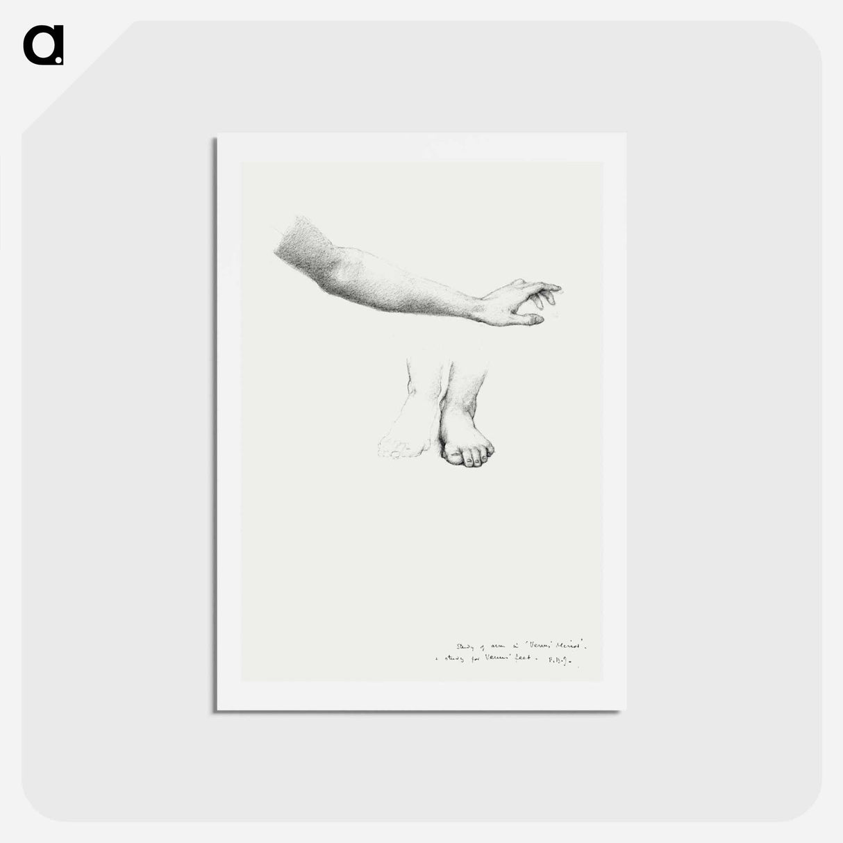 アートポストカード-Arm and Feet, study for Mirror of Venus - エドワード バーン ジョーンズ Postcard.