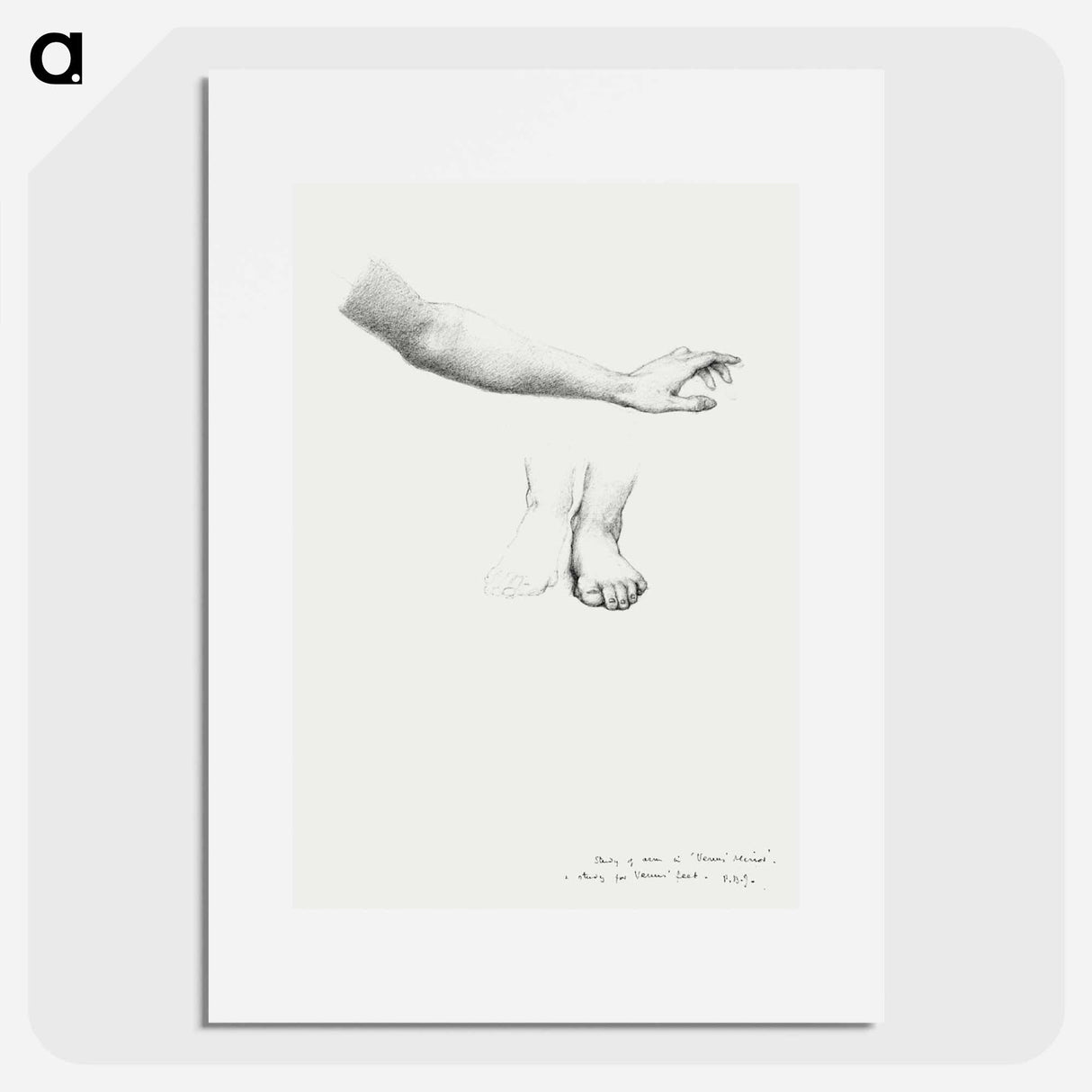 Arm and Feet, study for Mirror of Venus - エドワード バーン ジョーンズ Poster.