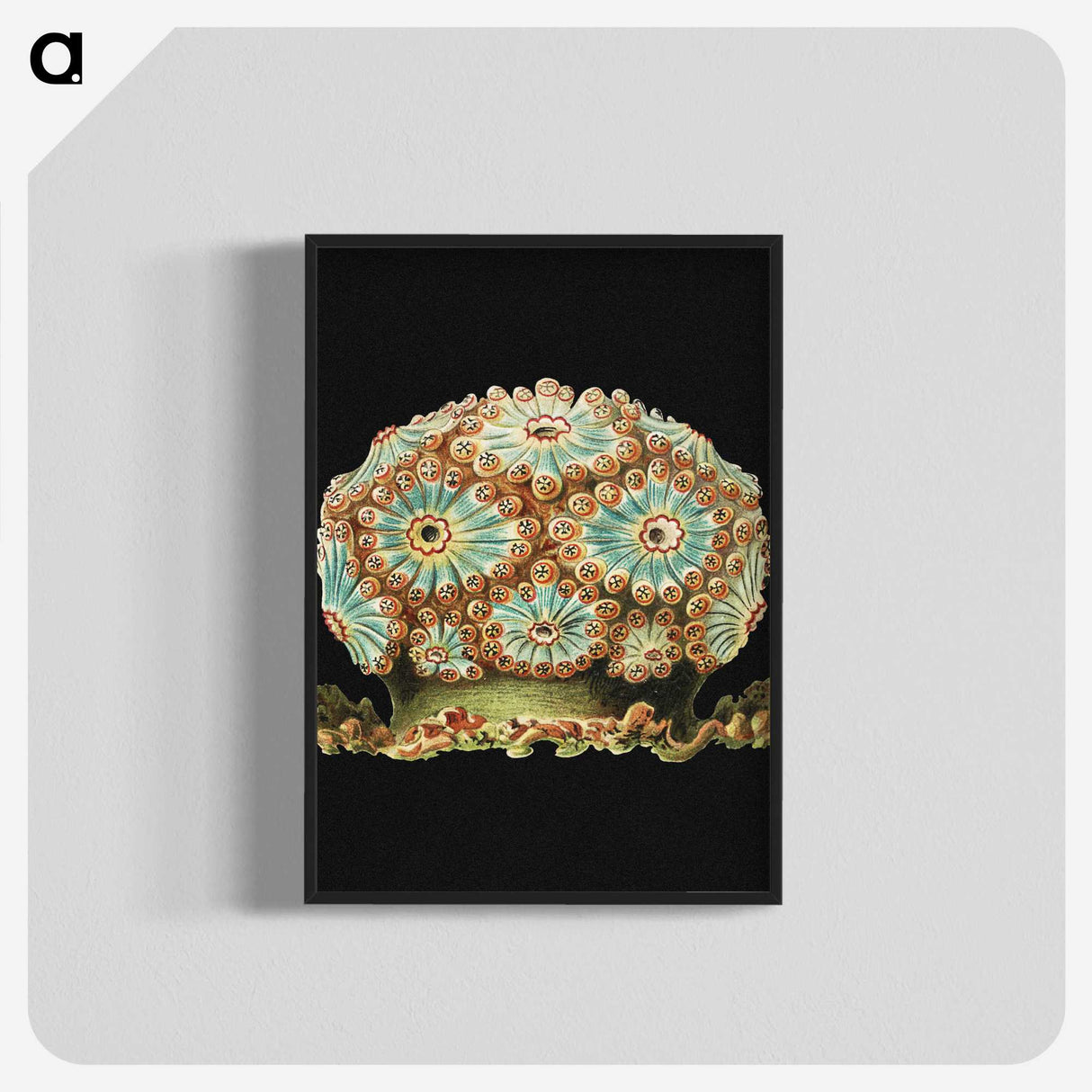 1-100_Ernst-Haeckel_blk-crop