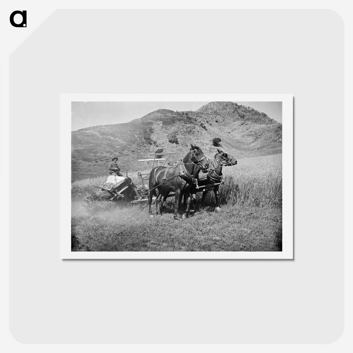 1-100_Frederick-Charles-Brockett_hagaki
