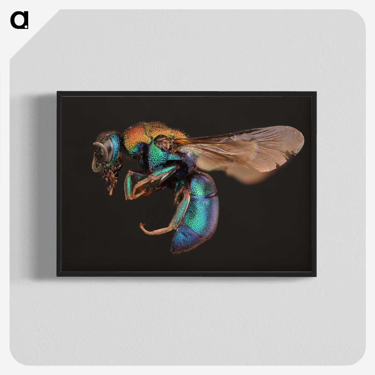 1-100_Insects-Unlocked-Project_blk-crop