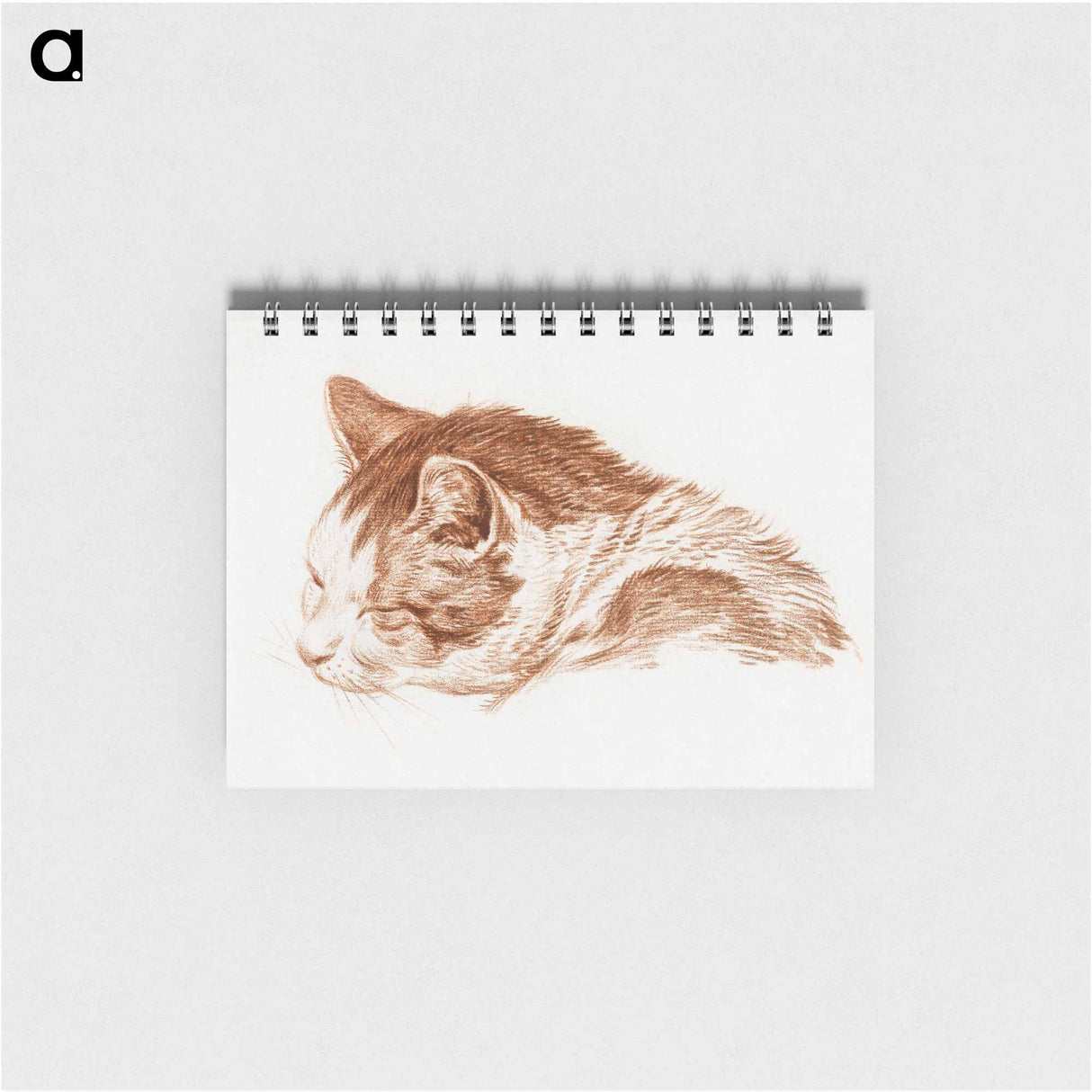 Head of a sleeping cat - ジャン ベルナール Memo.