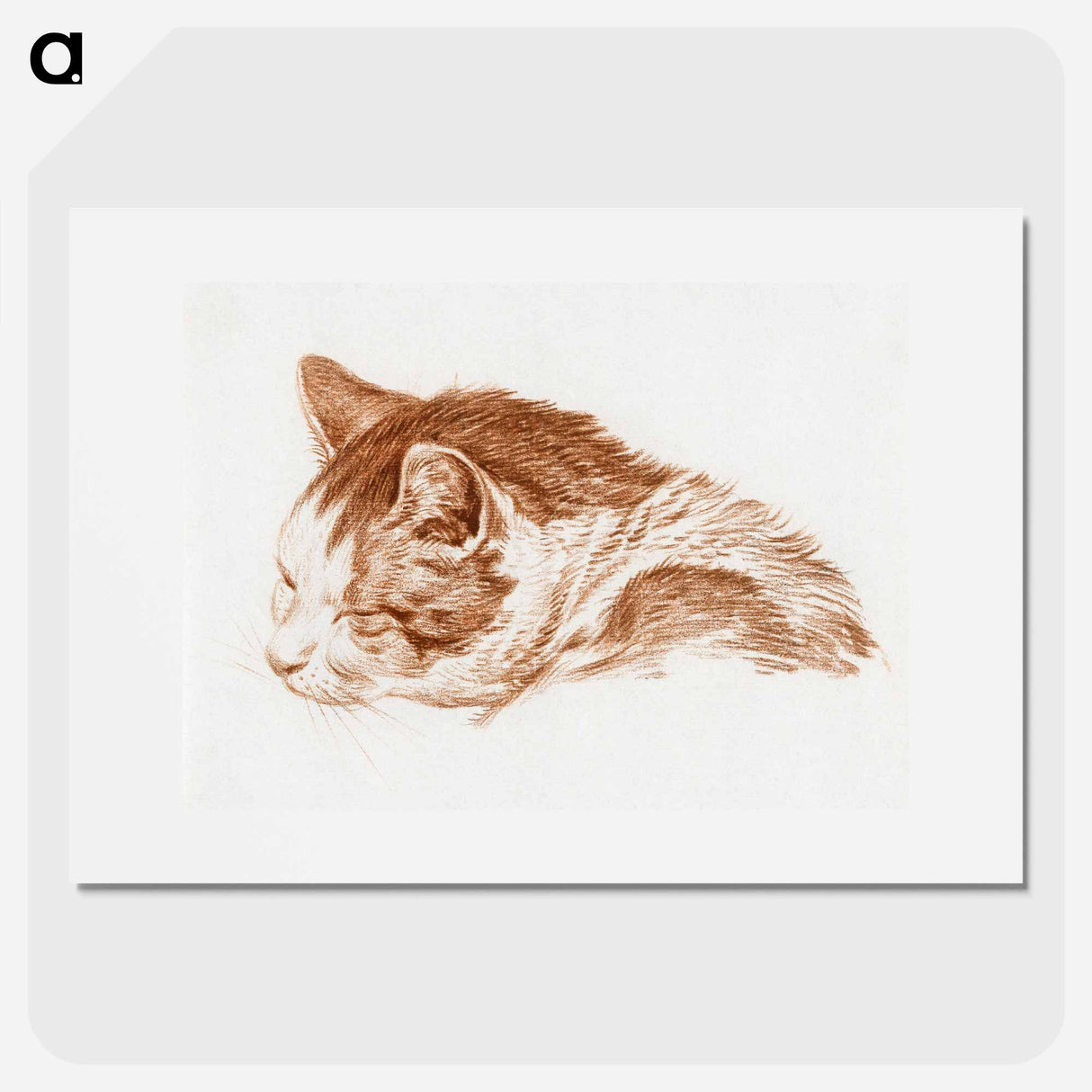 Head of a sleeping cat - ジャン ベルナール Poster.