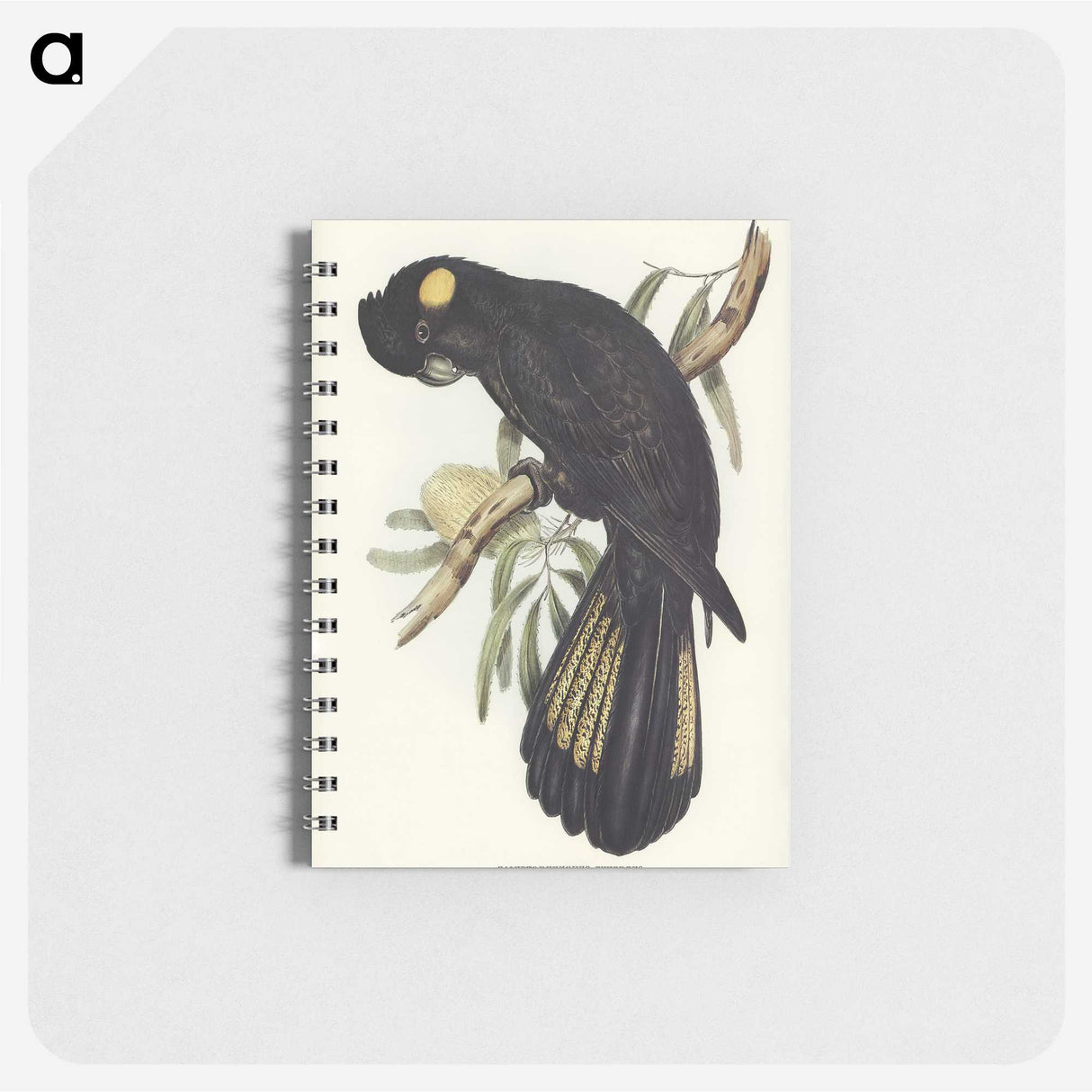 1-100_John-Gould_memo