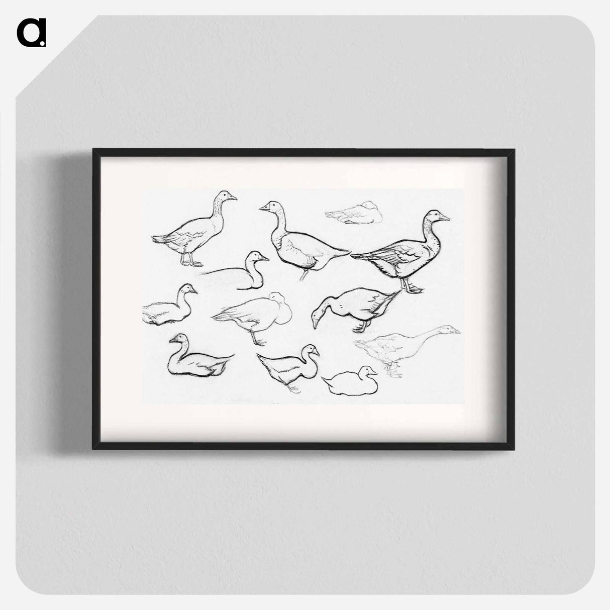 Study sketch of geese - Julie de Graag Poster.