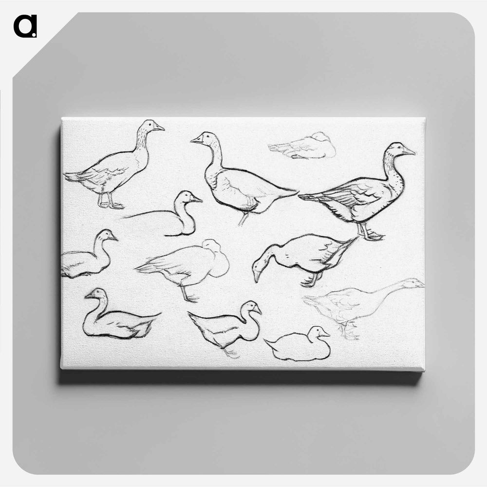 Study sketch of geese - Julie de Graag Canvas.