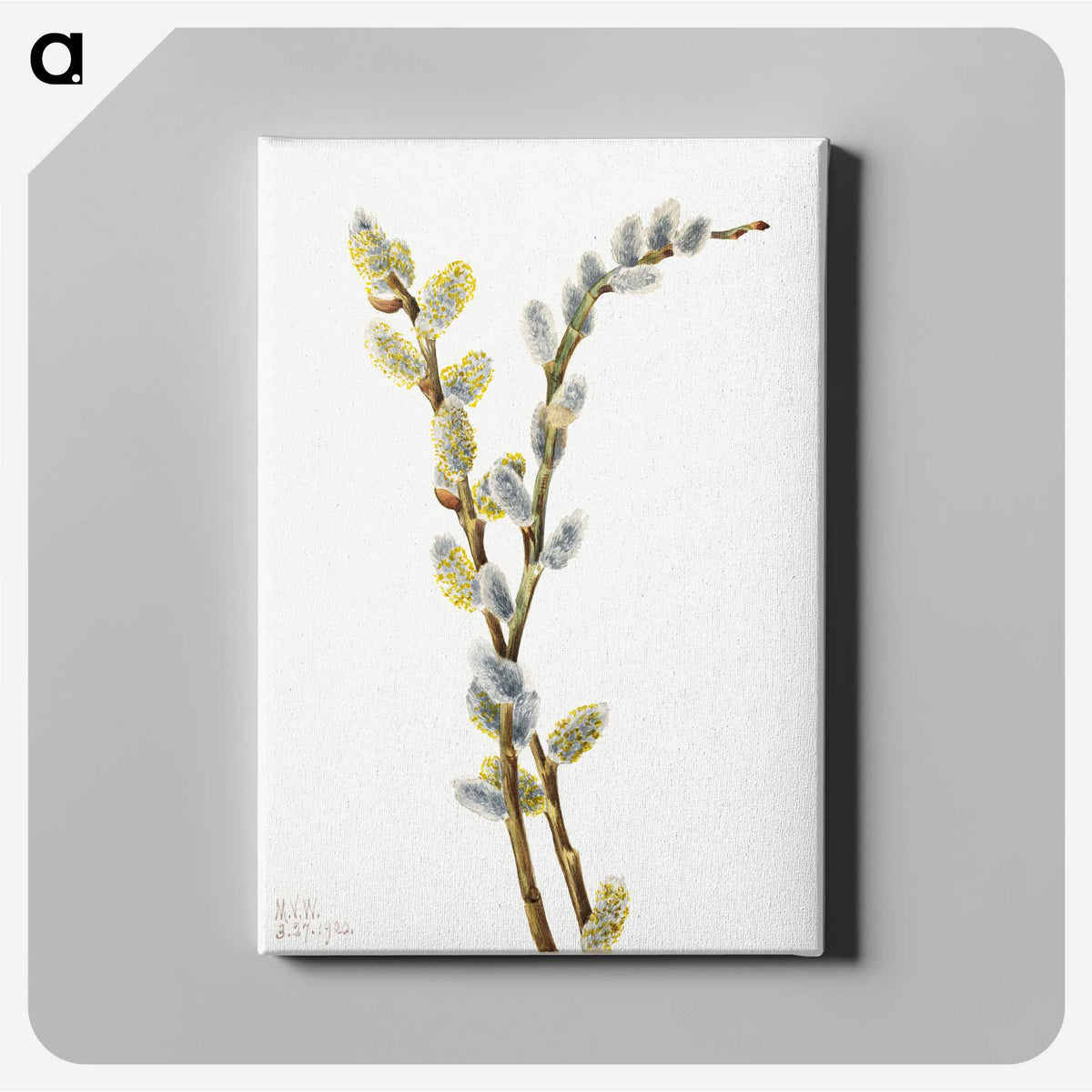 1-100_Mary-Vaux-Walcott_canvas