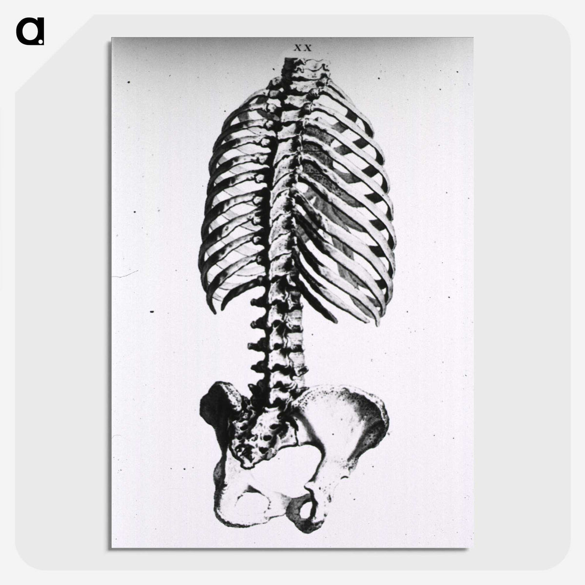 1-100_National-Library-of-Medicine_picture-crop