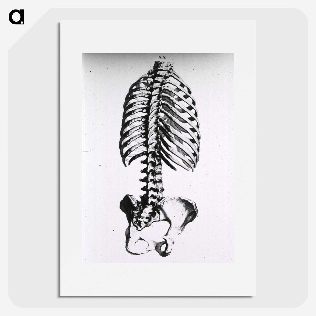 1-100_National-Library-of-Medicine_picture