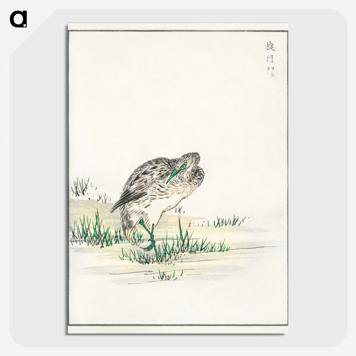 1-100_Pictorial-Monograph-of-Birds_picture-crop