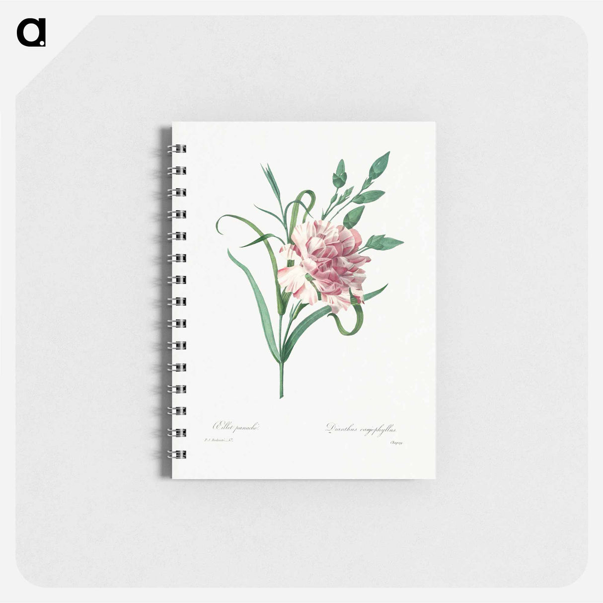 アートメモ帳-Carnation - ピエール ジョゼフ ルドゥーテ Memo.