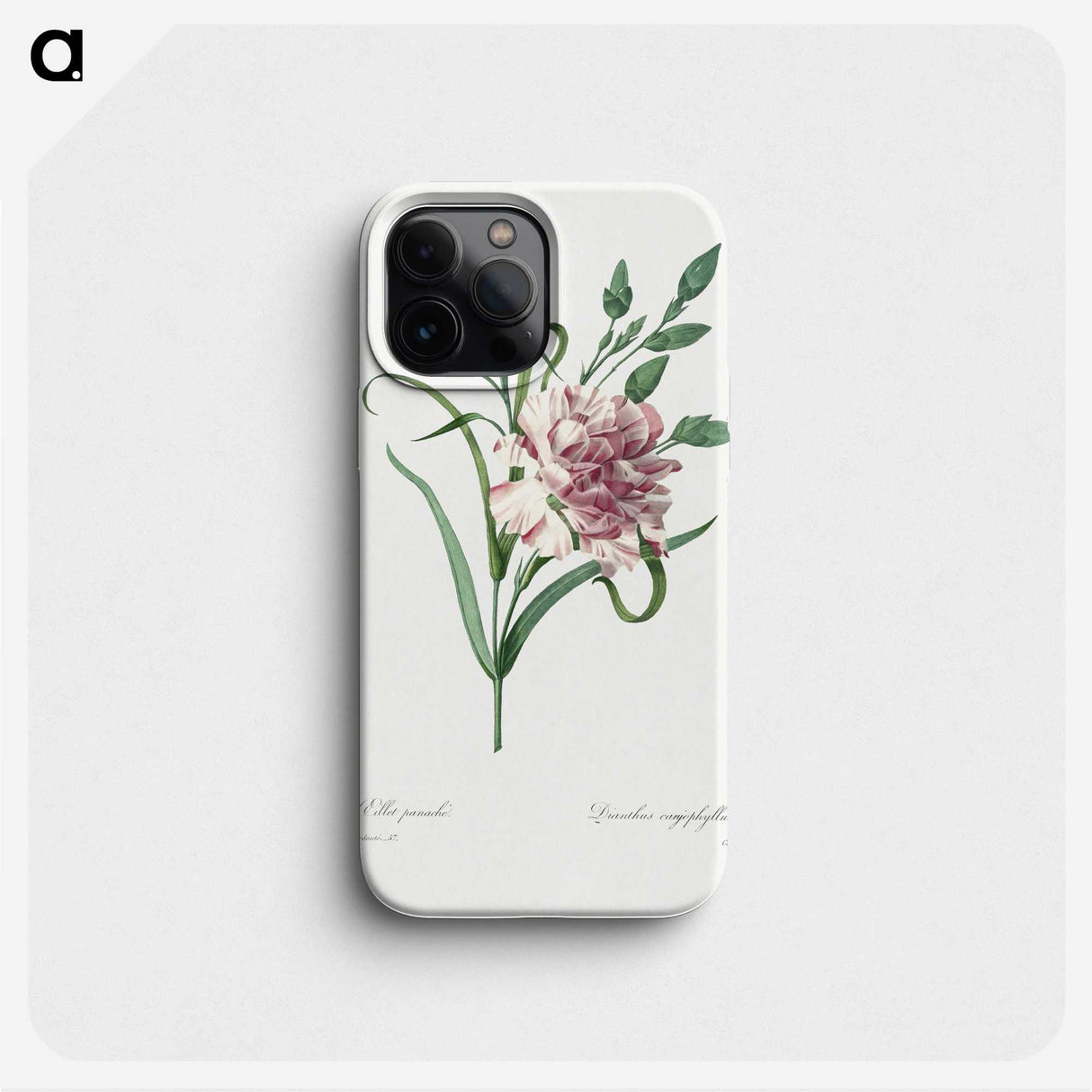 1-100_Pierre-Joseph-Redoute_phone