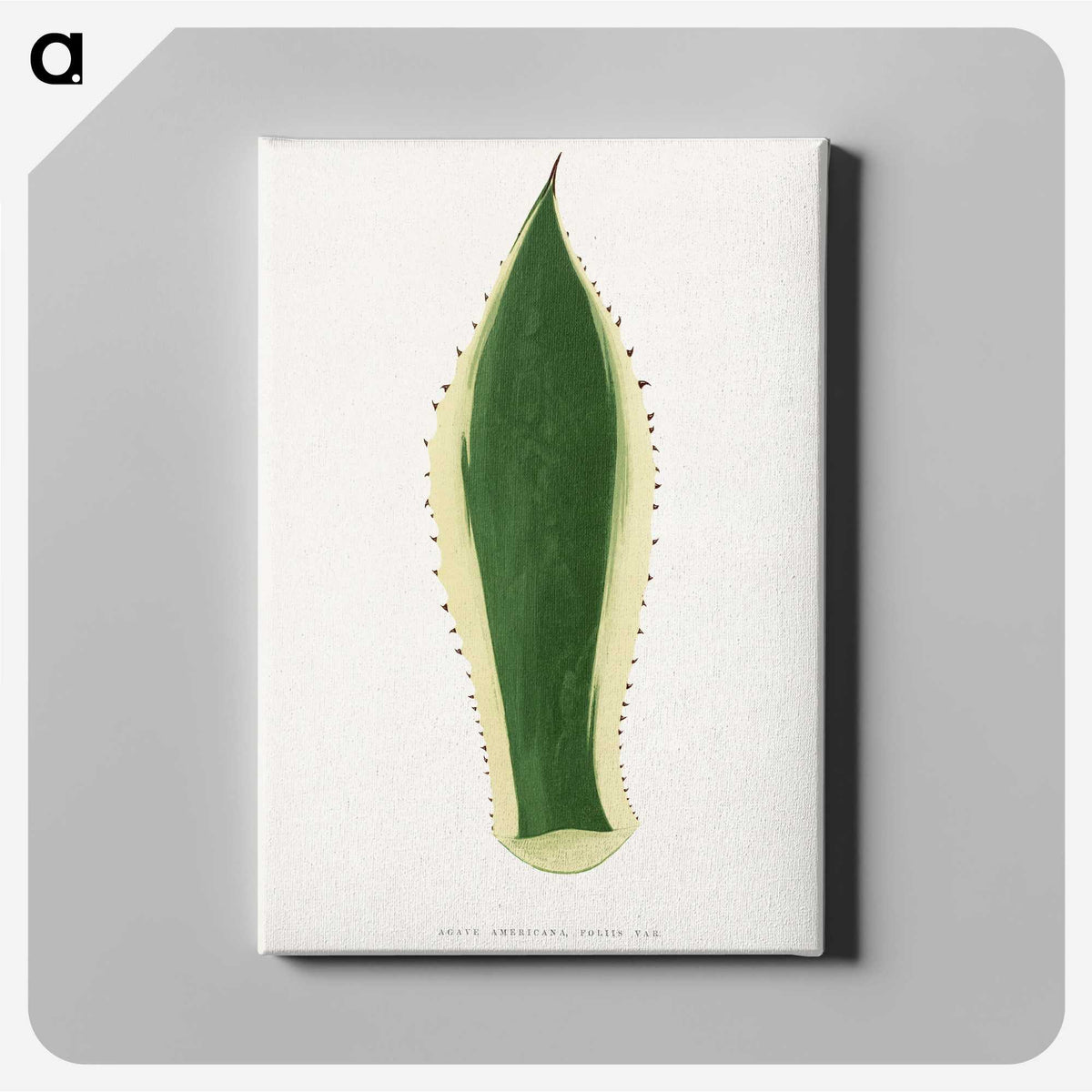 1-100_Plants-with-Colored-Foliage_canvas