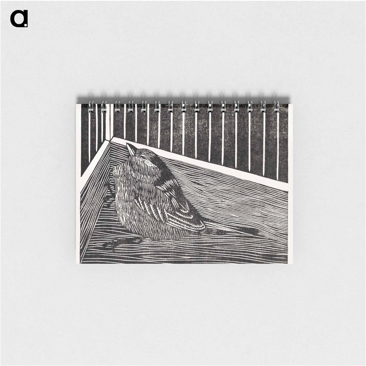 Bird in the Corner of a Cage
- サミュエル ジェスルン Memo.