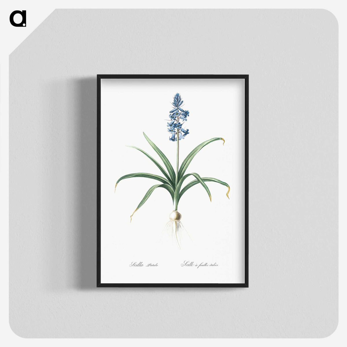1-100_The-Lilies_blk-crop