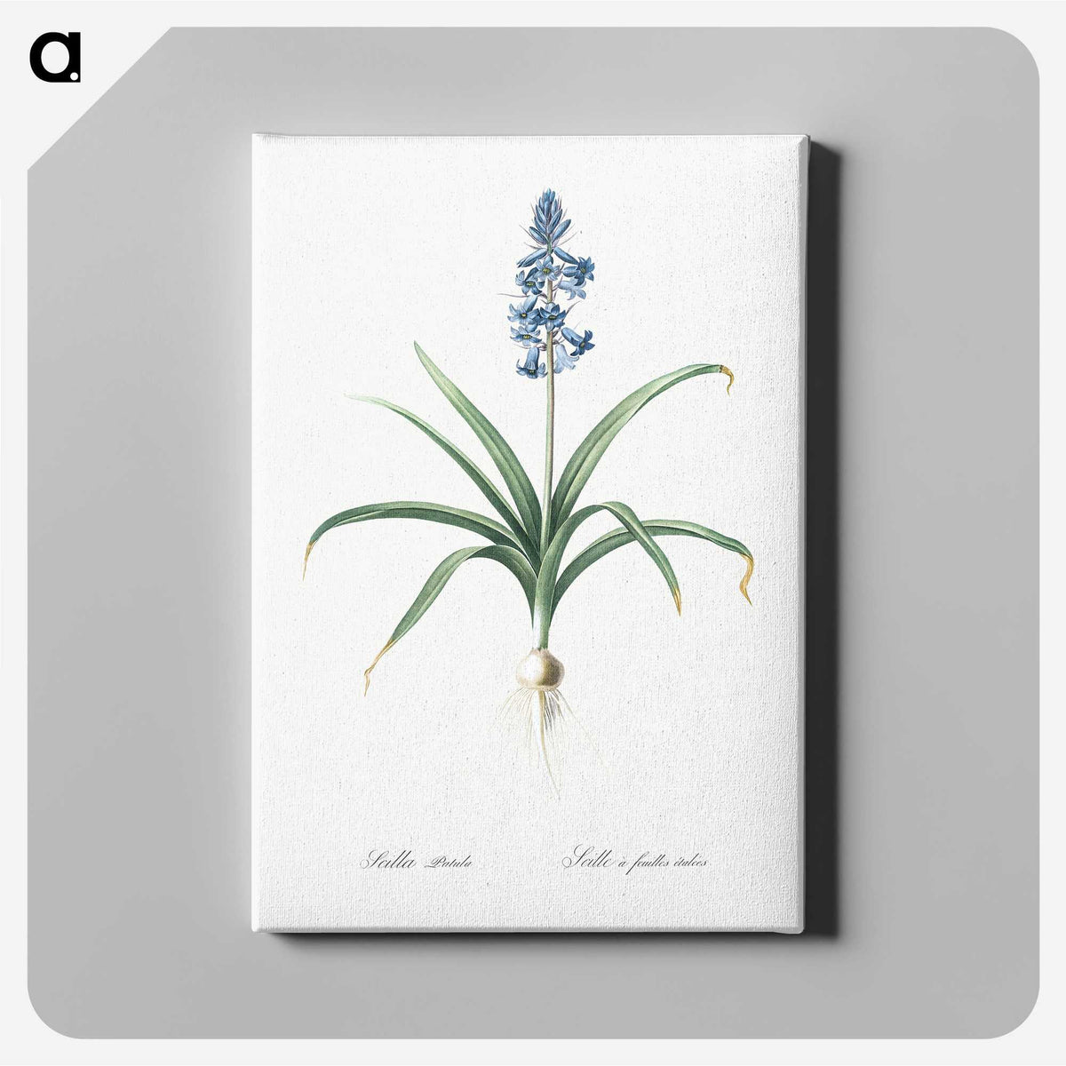 1-100_The-Lilies_canvas