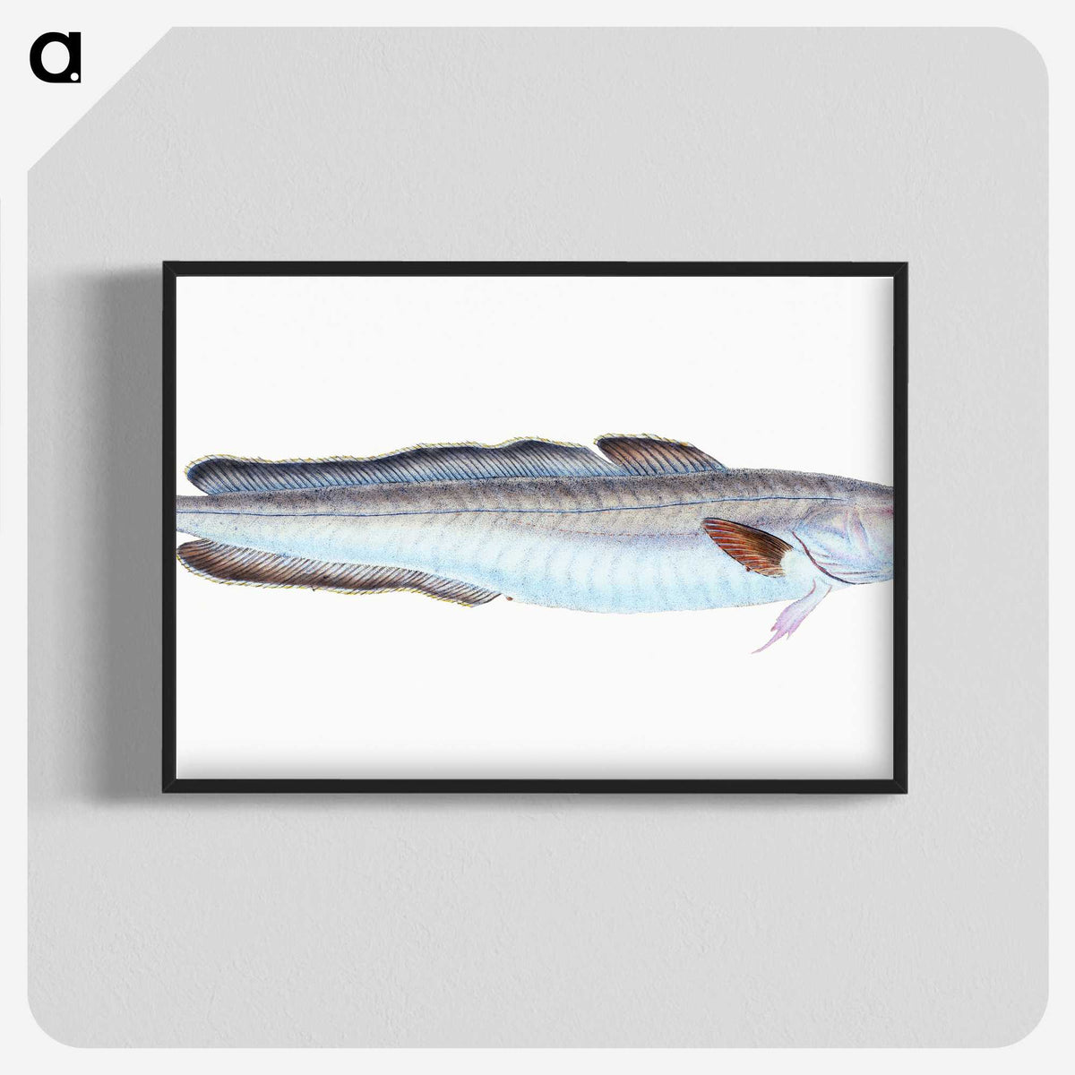 1-100_The-Natural-History-of-British-Fishes_blk-crop