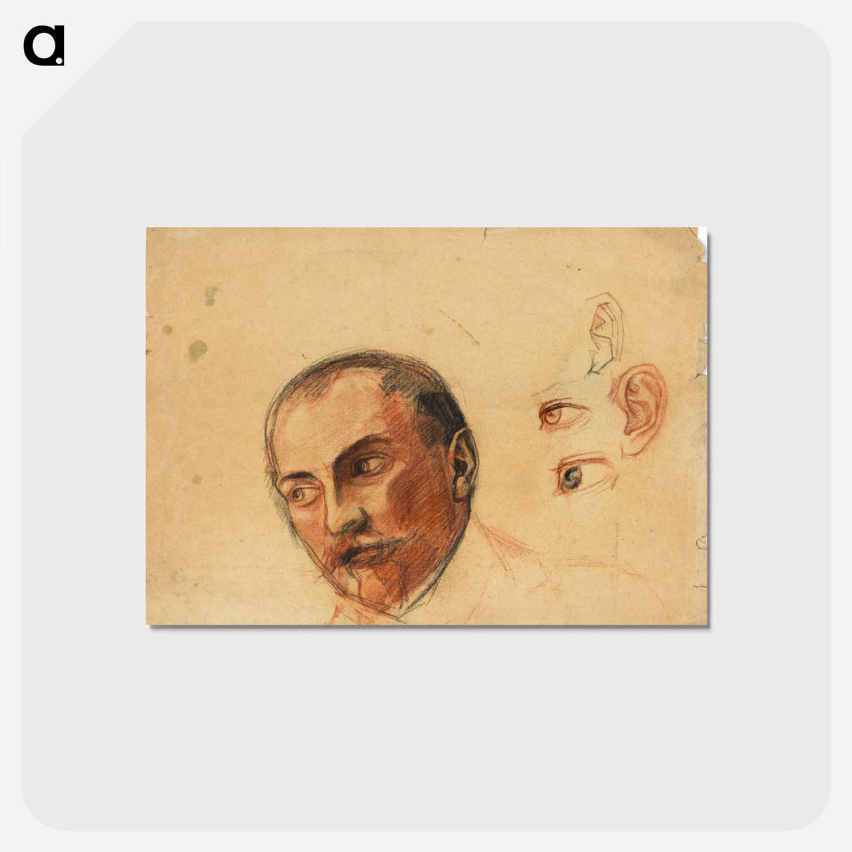 アートポストカード-Study Sheet (Head, Eyes, Ears)
- ウィーン博物館 Postcard.