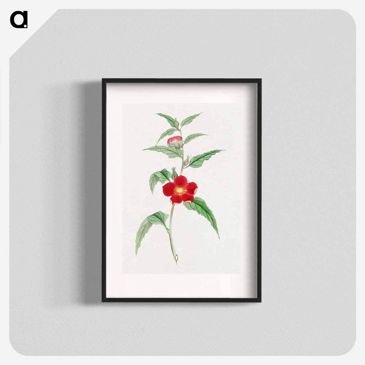 Koji kuwa - 19世紀の日本の花 Poster.