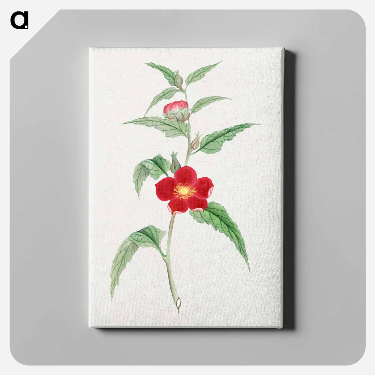 Koji kuwa - 19世紀の日本の花 Canvas.