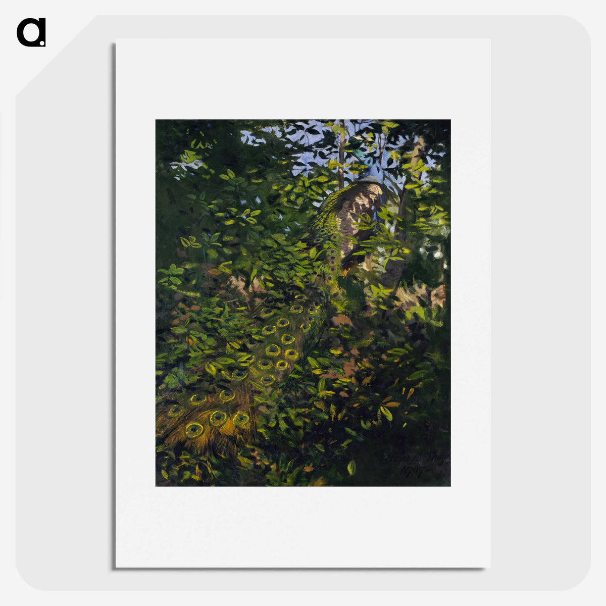 1-10_Abbott-Handerson-Thayer_picture