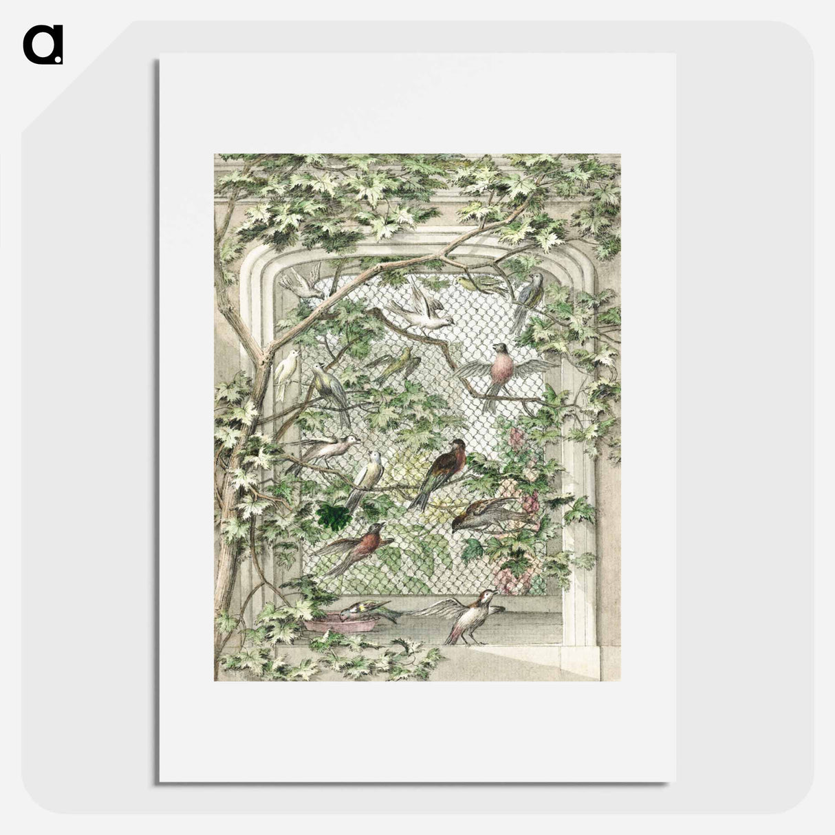 アートポスター-Aviary with fourteen birds - アールト シューマン Poster.