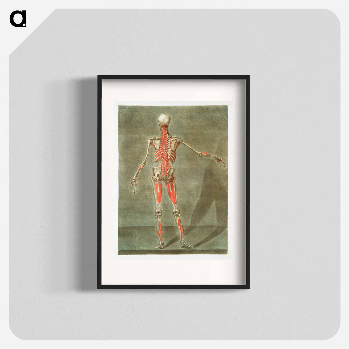 This fascinating collection of anatomical illustrations - アルノルド エロイ ゴーティエ ダゴティ Poster.