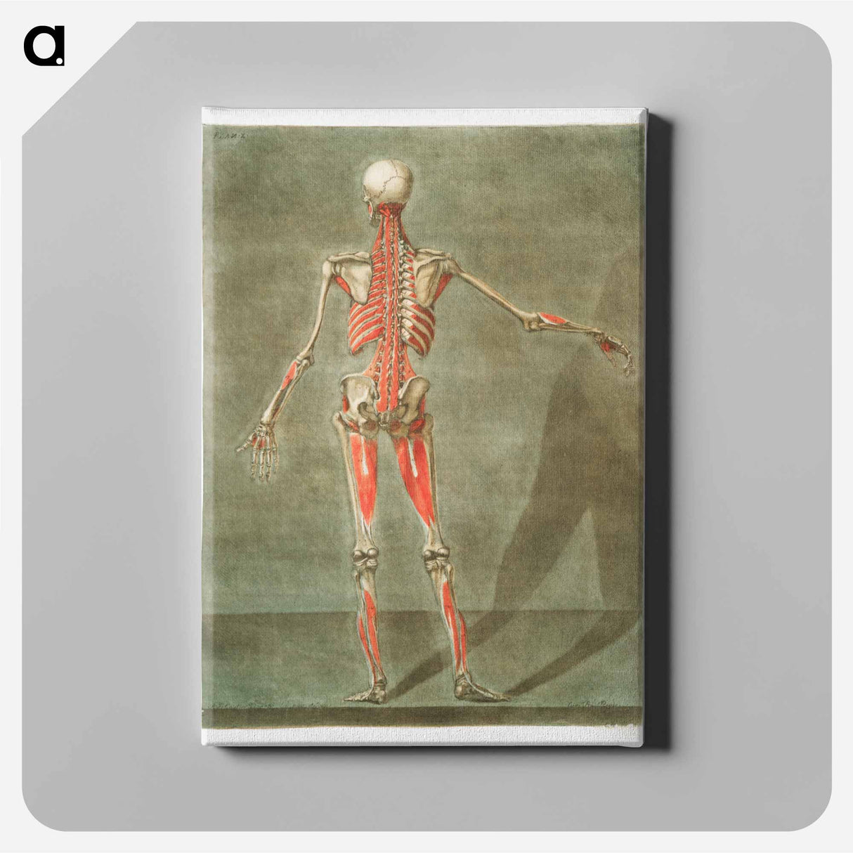 This fascinating collection of anatomical illustrations - アルノルド エロイ ゴーティエ ダゴティ Canvas.