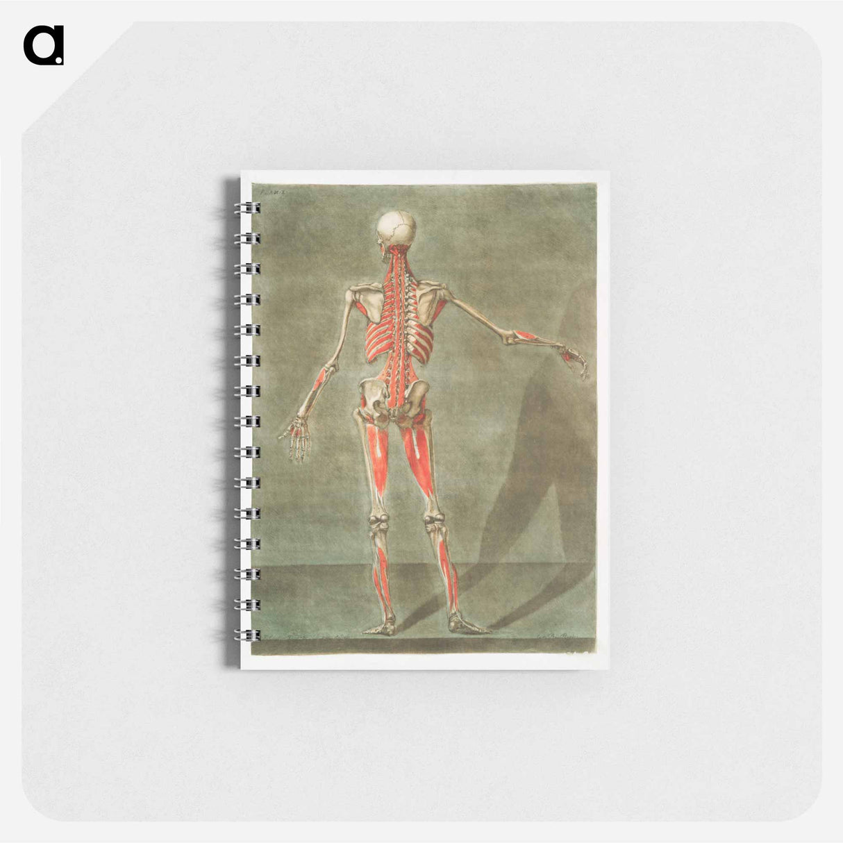 This fascinating collection of anatomical illustrations - アルノルド エロイ ゴーティエ ダゴティ Memo.