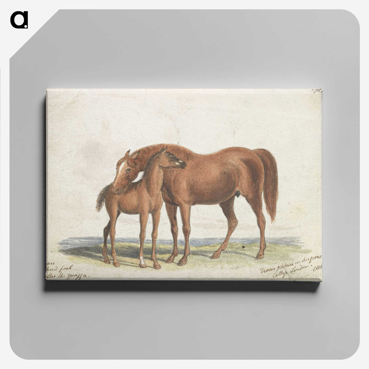 1-10_Charles-Hamilton-Smith_canvas