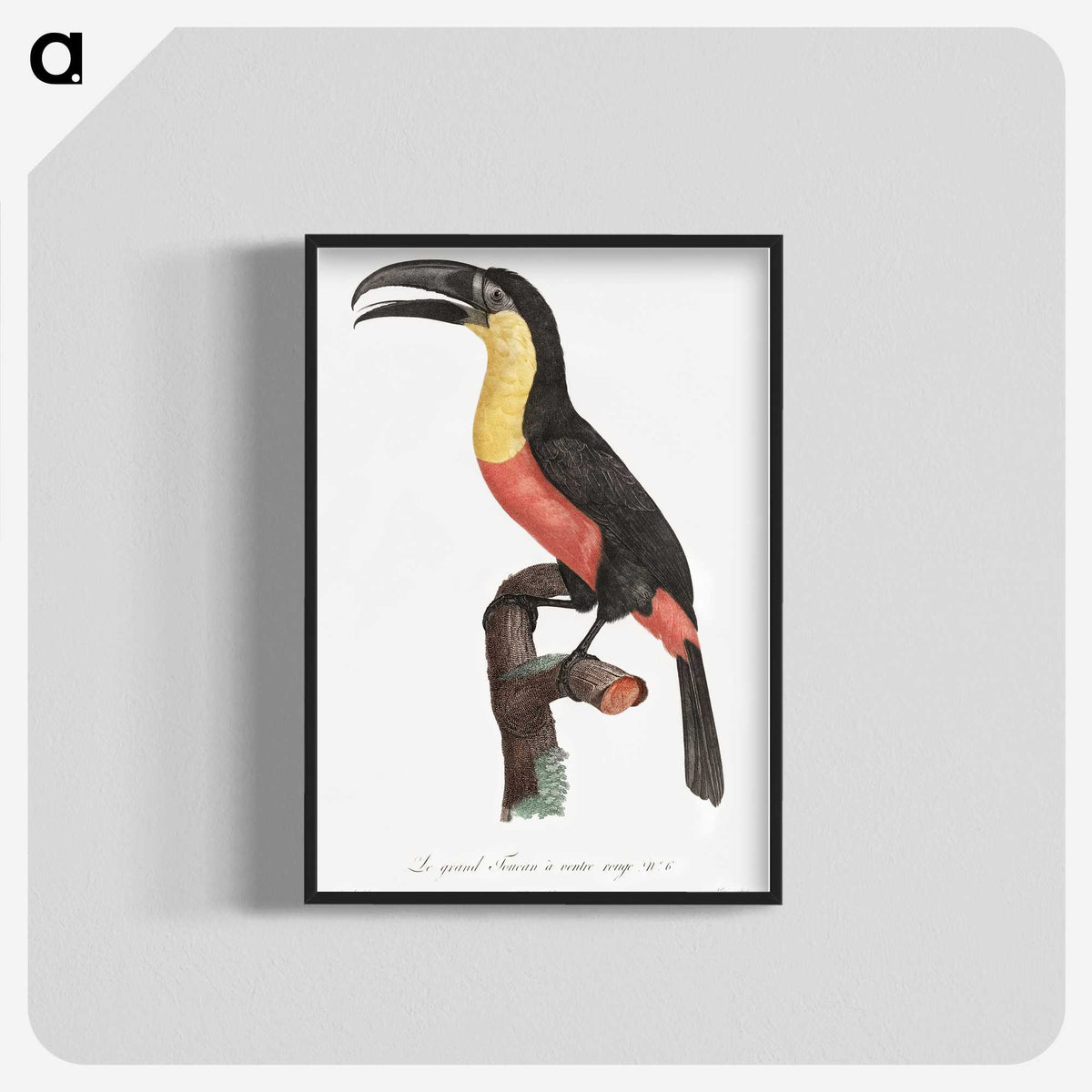 1-10_Des-Oiseaux-de-Paradis_blk-crop