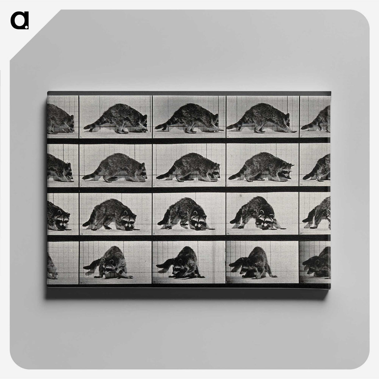 1-10_Eadweard-Muybridge_canvas