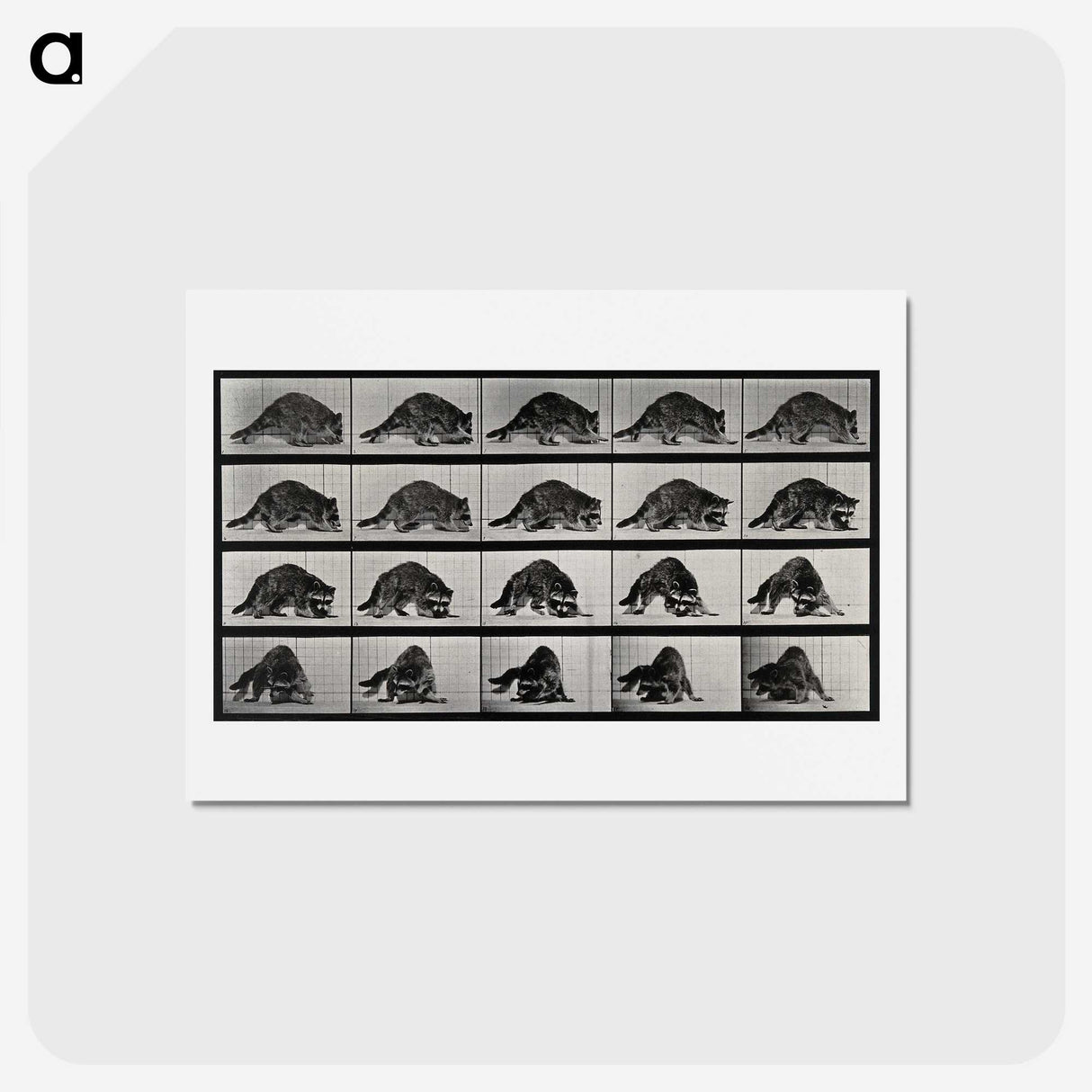 1-10_Eadweard-Muybridge_hagaki